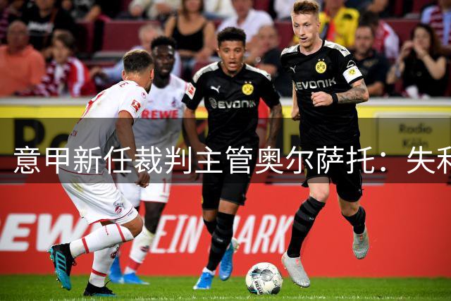 意甲新任裁判主管奥尔萨托：失利责任由我承担